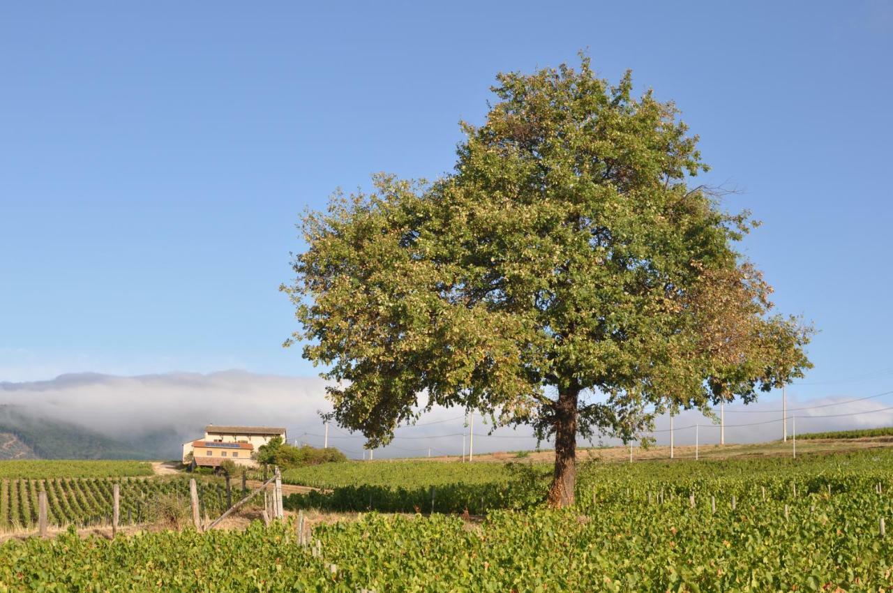 Gite Le Pot De Vin Lancie Luaran gambar